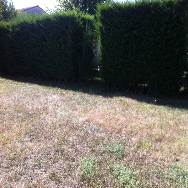 Offres de vente Terrain Toulouse 31100