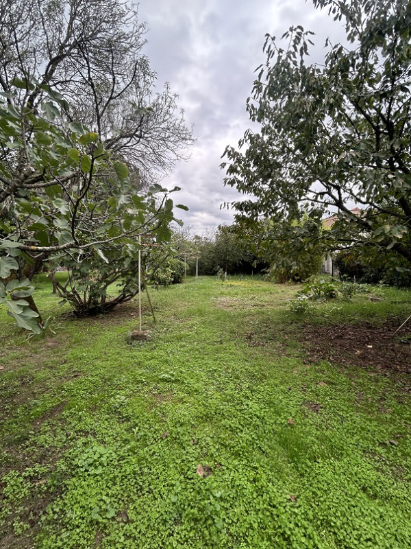Offres de vente Terrain à batir Toulouse 31100