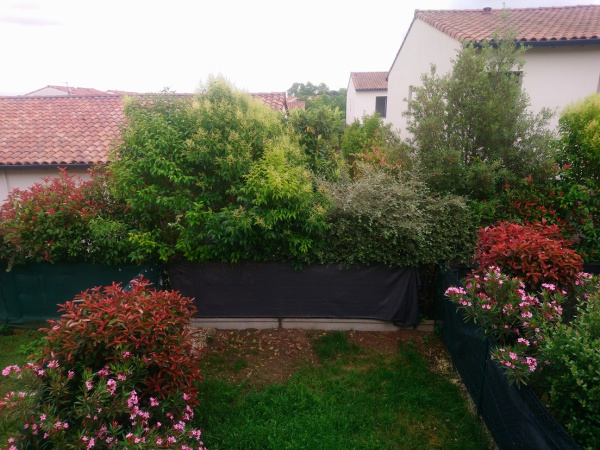 Offres de vente Maison Toulouse 31100